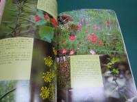 私の部屋 67号