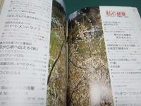 私の部屋 41号