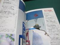 私の部屋 37号
