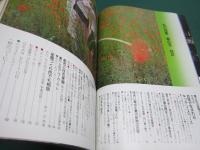 私の部屋 60号