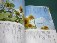 私の部屋 50号