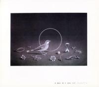 現代版画の軌跡展