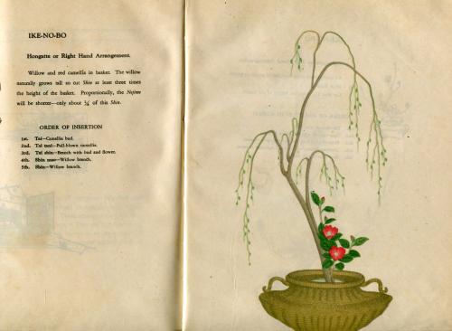 Manual of Japanese flower arrangement 押川如水 日本花道(JOSUI