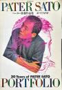 ポートフォリオ : ペーター佐藤作品集 20 years of Peter Sato
　玄光社mook
