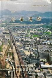 北条遺跡 : ＪＲ山陽本線等連続立体交差事業に伴う埋蔵文化財発掘調査報告書３　兵庫県文化財調査報告 第３２５冊