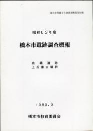 橋本市埋蔵文化財調査概報