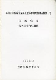 石川左岸幹線管渠築造遺跡群他発掘調査概要 6 (山城廃寺・大ケ塚寺内町遺跡) 