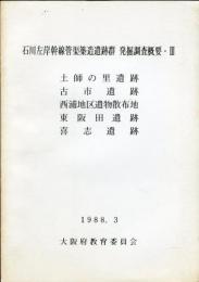 石川左岸幹線管渠築造遺跡群発掘調査概要 3