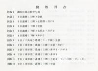 讃良郡条里遺跡発掘調査概要 : 都市計画道路国守黒原線建設工事に伴う 1