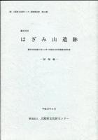 藤井寺市はざみ山遺跡
 大阪府文化財センター調査報告書　第135集