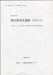 讃良郡条里遺跡 その3 

(財)大阪府文化財センター調査報告書 ; 第114集  