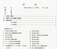 池島・福万寺遺跡発掘調査概要(17)・93-3・4調査区の概要