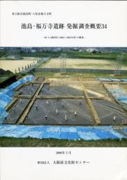 池島・福万寺遺跡発掘調査概要 34 
02-4・5調査区 (2002～2004年度) の概要