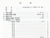 池島・福万寺遺跡発掘調査概要II(2)
90-3・6調査区の概要