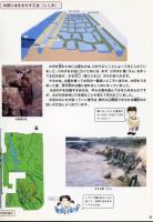 池島・福万寺遺跡ってなあに?