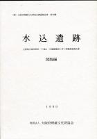 水込遺跡: 主要地方道岸和田・牛滝山・貝塚線建設に伴う発掘調查報告書(本文編・図版編)全2冊