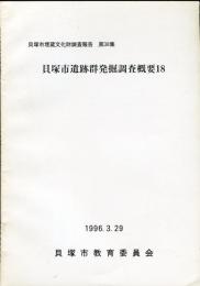 貝塚市遺跡群発掘調査概要 18 :貝塚市埋蔵文化財調査報告 ; 第38集 