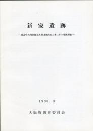 新家遺跡:府道中央環状線荒本跨道橋改良工事に伴う発掘調査