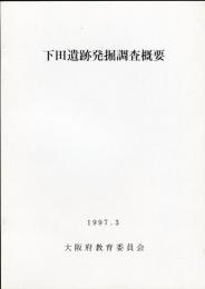 下田遺跡発掘調査概要 