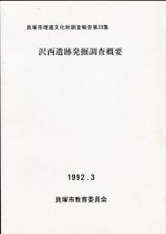 沢西遺跡発掘調査概要 :貝塚市埋蔵文化財調査報告 ; 第23集 