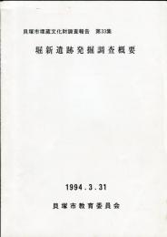 堀新遺跡発掘調査概要 :貝塚市埋蔵文化財調査報告 ; 第33集 