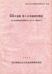 鳴神4(Ⅳ)遺跡　第6次発掘調査概報:地方改善整備事業道路改良工事に伴う調査報告