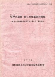 鳴神4(Ⅳ)遺跡　第6次発掘調査概報:地方改善整備事業道路改良工事に伴う調査報告