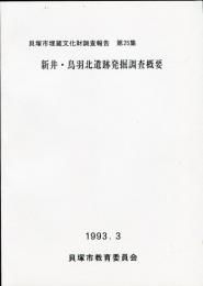 新井・鳥羽北遺跡発掘調査概要:貝塚市埋蔵文化財調査報告 ; 第25集 