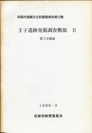 王子遺跡発掘調査概報 2 
:第3次調査