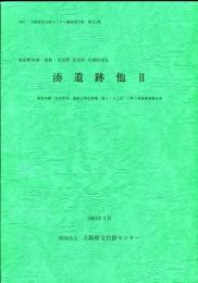 湊遺跡他2:南海本線 (泉佐野市) 連続立体化事業 (第1～3工区) に伴う発掘調査報告書 