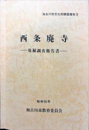 西条廃寺　発掘調査報告書　　加古川市文化財調査報告書9