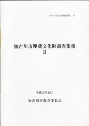 加古川市埋蔵文化財調査集報 2