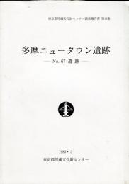 摩ニュータウン遺跡 : No.67遺跡