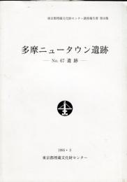 摩ニュータウン遺跡 : No.67遺跡