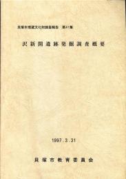 沢新開遺跡発掘調査概要:貝塚市埋蔵文化財調査報告 ; 第41集 