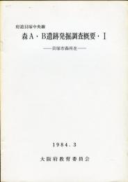 森A・B遺跡発掘調査概要 : 府道貝塚中央線 1 