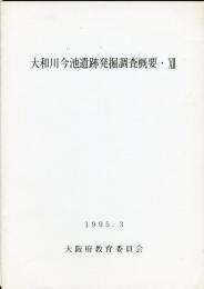 大和川今池遺跡発掘調査概要 12