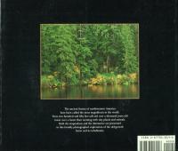 Ancient Forests