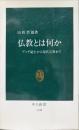 仏教とは何か　ブッダ誕生から現代宗教まで　（中公新書）