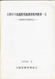 大和川今池遺跡発掘調査整理概要 6 他1992年3月(2冊揃)