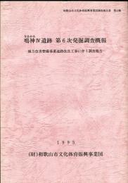 鳴神Ⅳ遺跡発掘調査概報 第6次