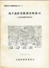 亀井遺跡発掘調査概要 3 