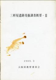 三軒屋遺跡発掘調査概要 3