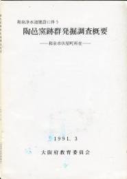 陶邑窯跡群発掘調査概要
1991年1992年(2冊)