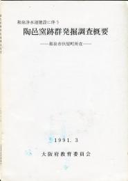 陶邑窯跡群発掘調査概要
1991年1992年(2冊)