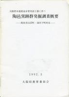 陶邑窯跡群発掘調査概要
1991年1992年(2冊)