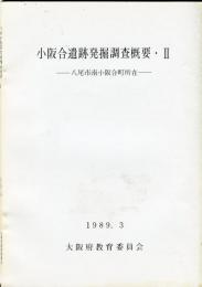 小阪合遺跡発掘調査概要 2 (八尾市南小阪合町所在)