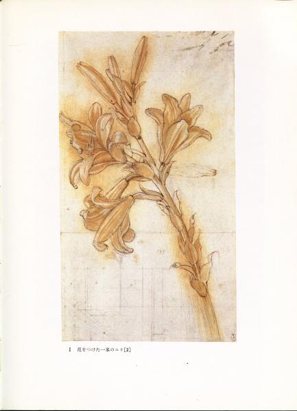 レオナルド・ダ・ヴィンチ素描展 / 古本、中古本、古書籍の通販は