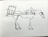 Marquet dessine des animaux