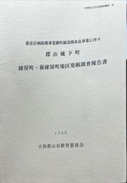 郡山城下町紺屋町・新紺屋町地区発掘調査報告書 ＜大和郡山市文化財調査概要 38＞